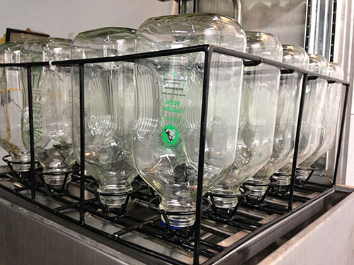 Milk Bottles